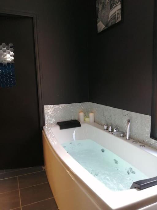 Appartement Avec Sauna Et Balneo Privatifs -Troyes Centre Exteriör bild
